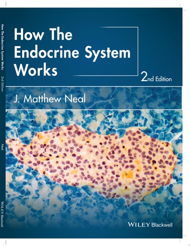 How the Endocrine System Works