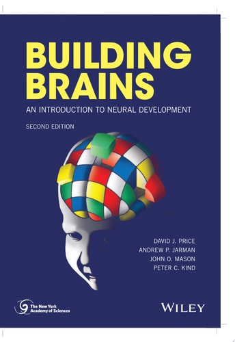 Building Brains An Introduction to Neural Development