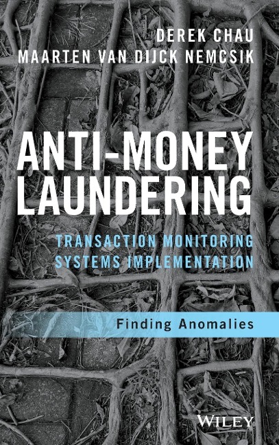 Anti-Money Laundering Transaction Monitoring Systems Implementation: Finding Anomalies