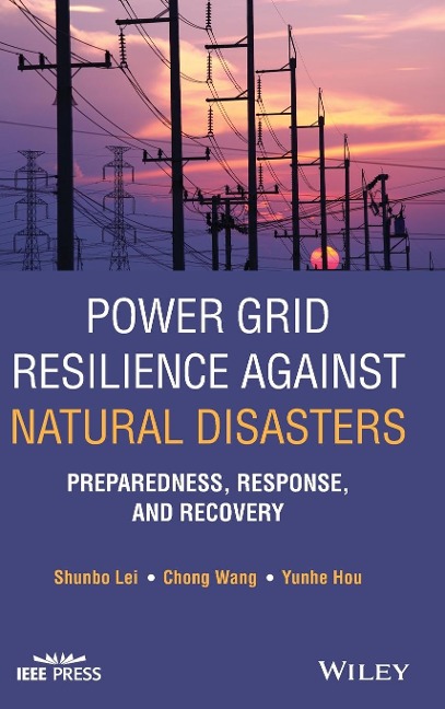 Power Grid Resilience Against Natural Disasters: Preparedness, Response, and Recovery