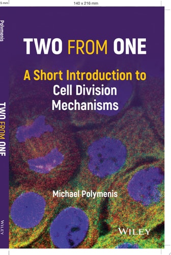 Two from One A Short Introduction to Cell Division Mechanisms