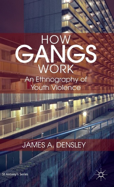 How Gangs Work: An Ethnography of Youth Violence