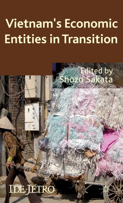 Vietnam's Economic Entities in Transition
