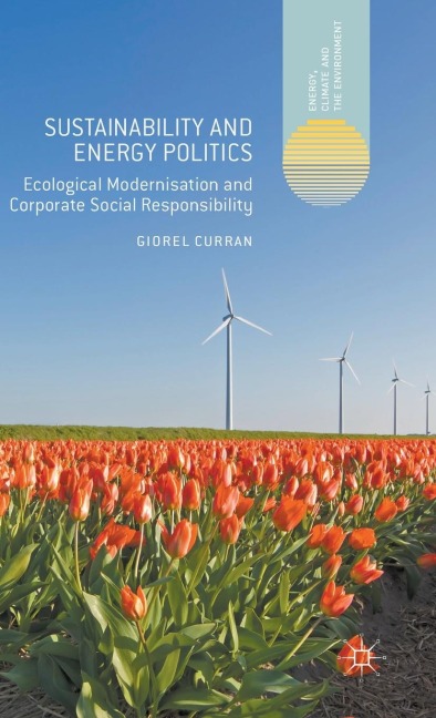 Sustainability and Energy Politics: The Promises of Ecological Modernisation and Corporate Social Responsibility