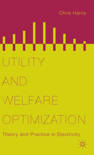 Utility and Welfare Optimization: Theory and Practice in Electricity