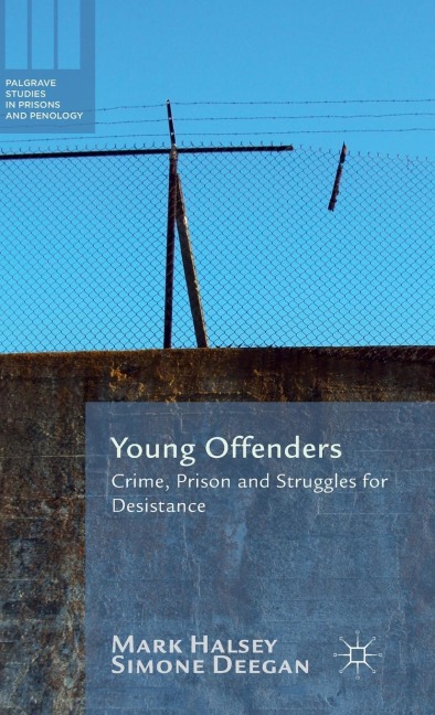 Young Offenders: Crime, Prison and Struggles for Desistance