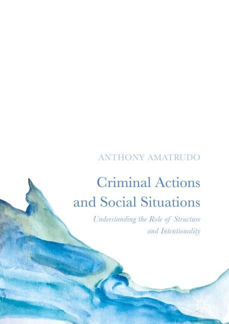 Criminal Actions and Social Situations: Understanding the Role of Structure and Intentionality