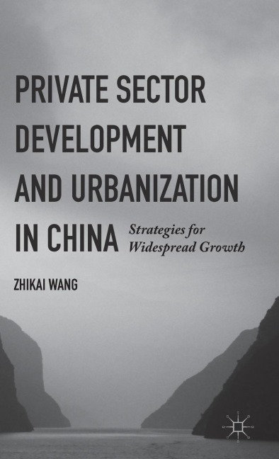 Private Sector Development and Urbanization in China: Strategies for Widespread Growth