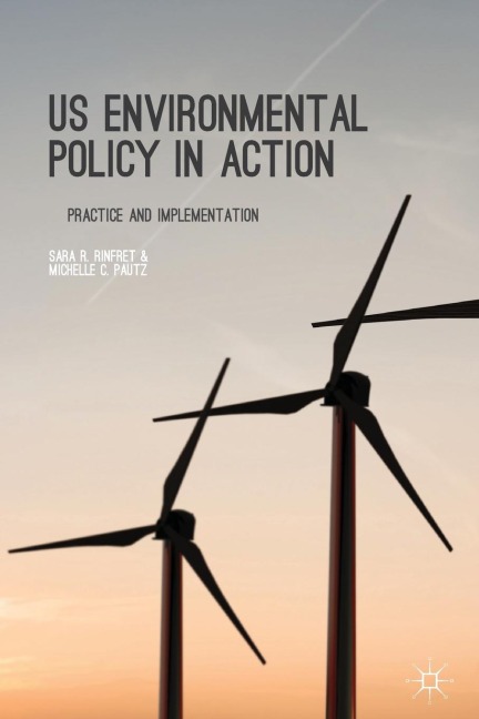 Us Environmental Policy in Action: Practice and Implementation