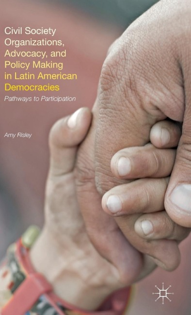 Civil Society Organizations, Advocacy, and Policy Making in Latin American Democracies: Pathways to Participation