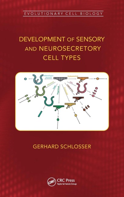 Development of Sensory and Neurosecretory Cell Types: Vertebrate Cranial Placodes, volume 1
