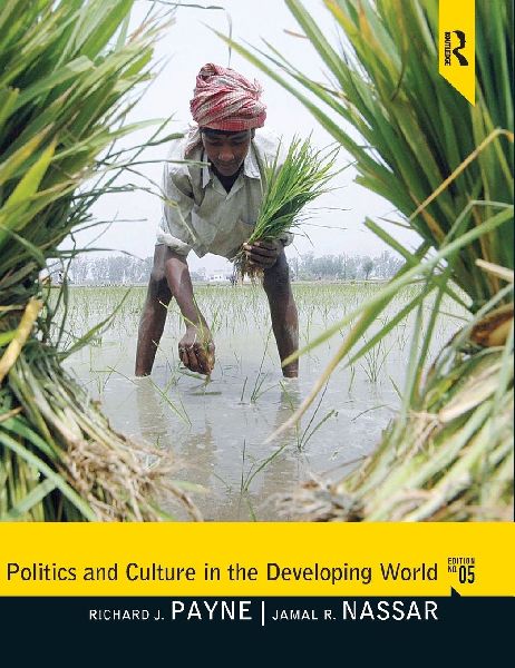 Politics and Culture in the Developing World