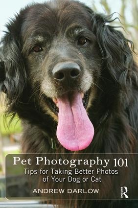 Pet Photography 101: Tips for Taking Better Photos of Your Dog or Cat