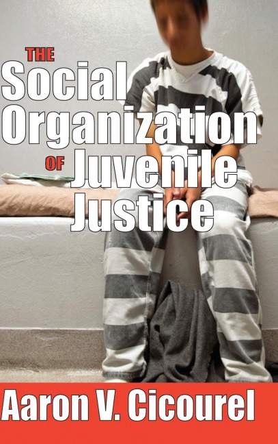 The Social Organization of Juvenile Justice