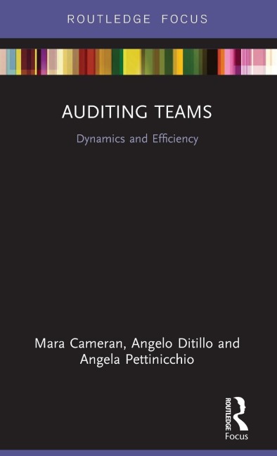 Auditing Teams: Dynamics and Efficiency