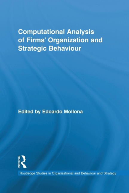 Computational Analysis of Firms Organization and Strategic Behaviour