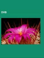 DVB