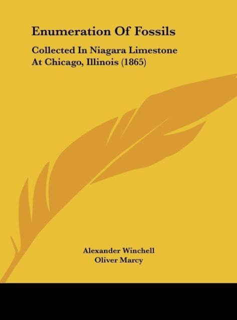 Enumeration Of Fossils: Collected In Niagara Limestone At Chicago, Illinois (1865)