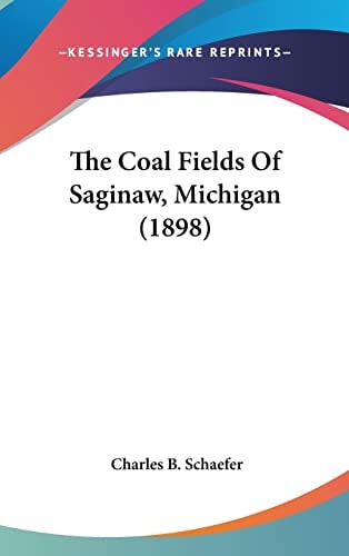 The Coal Fields Of Saginaw, Michigan (1898)
