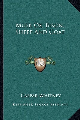 Musk Ox, Bison, Sheep And Goat