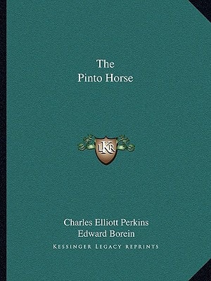 The Pinto Horse