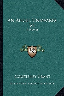 An Angel Unawares V1: A Novel