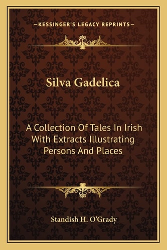 Silva Gadelica: A Collection Of Tales In Irish With Extracts Illustrating Persons And Places