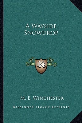 A Wayside Snowdrop