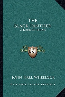 The Black Panther: A Book Of Poems
