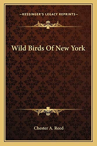 Wild Birds Of New York