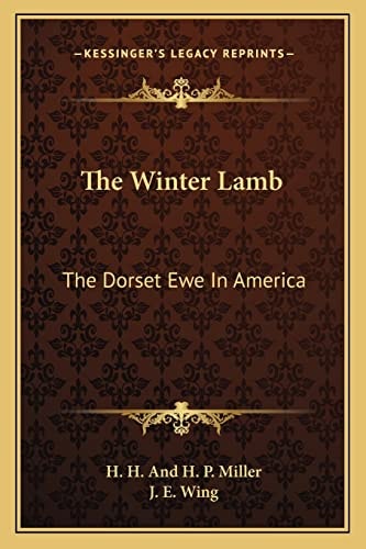 The Winter Lamb: The Dorset Ewe In America