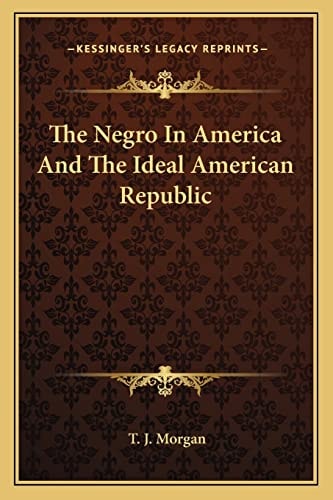 The Negro In America And The Ideal American Republic