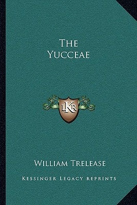 The Yucceae