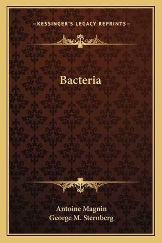 Bacteria