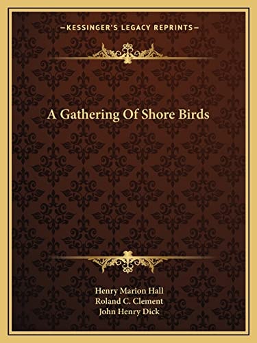 A Gathering Of Shore Birds