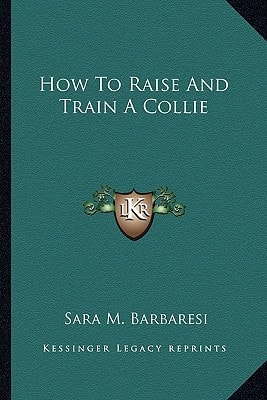 How To Raise And Train A Collie