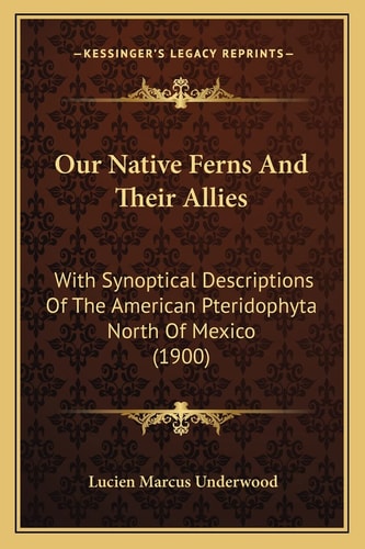 Our Native Ferns And Their Allies: With Synoptical Descriptions Of The American Pteridophyta North Of Mexico (1900)