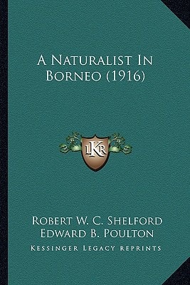 A Naturalist In Borneo (1916)