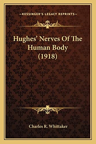Hughes' Nerves Of The Human Body (1918)