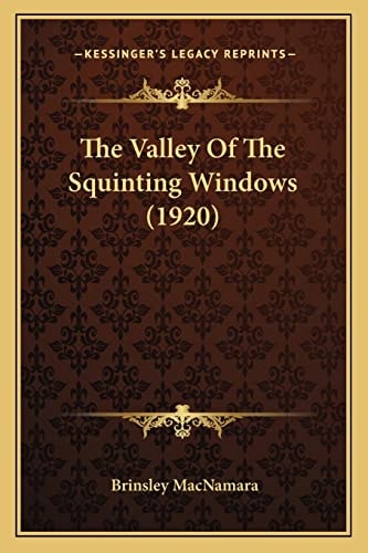 The Valley Of The Squinting Windows (1920)