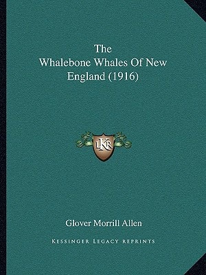 The Whalebone Whales Of New England (1916)