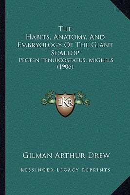 The Habits, Anatomy, And Embryology Of The Giant Scallop: Pecten Tenuicostatus, Mighels (1906)