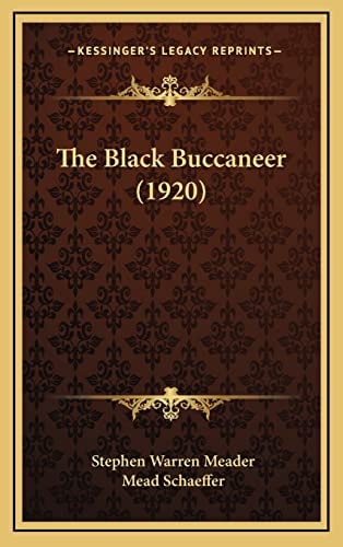 The Black Buccaneer (1920)