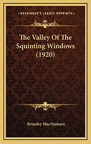 The Valley Of The Squinting Windows (1920)