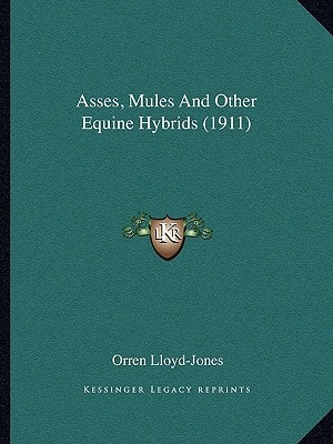 Asses, Mules And Other Equine Hybrids (1911)