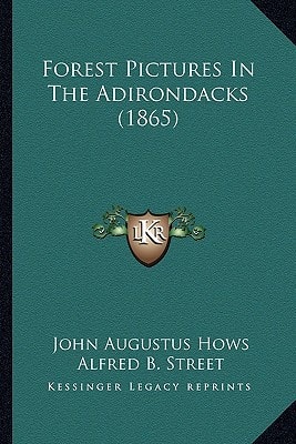 Forest Pictures In The Adirondacks (1865)