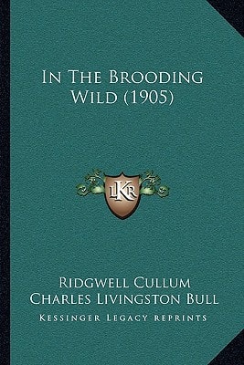 In The Brooding Wild (1905)