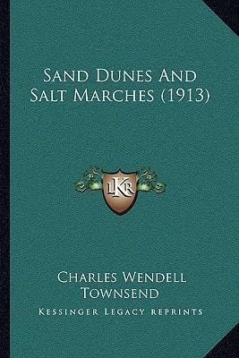 Sand Dunes And Salt Marches (1913)