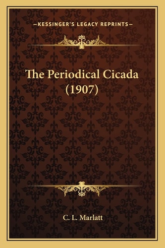 The Periodical Cicada (1907)