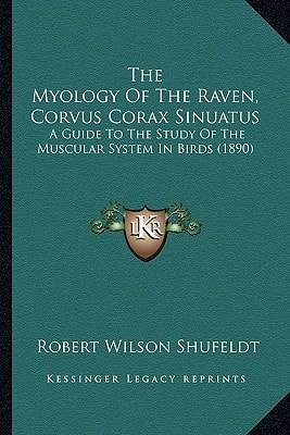 The Myology Of The Raven, Corvus Corax Sinuatus: A Guide To The Study Of The Muscular System In Birds (1890)